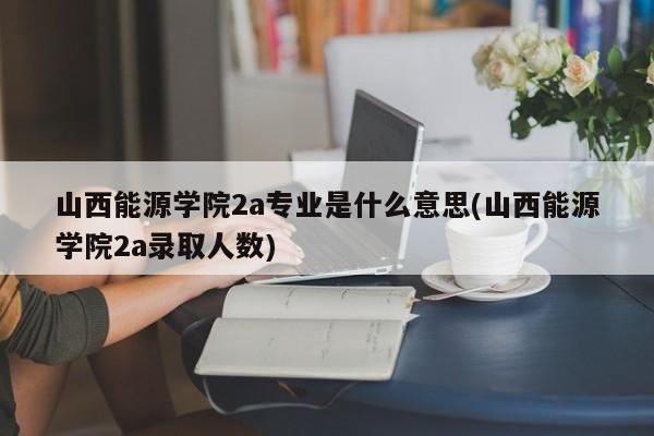山西能源学院2a专业是什么意思(山西能源学院2a录取人数)