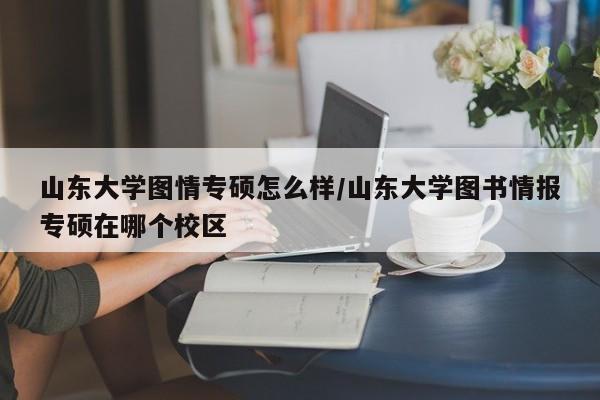 山东大学图情专硕怎么样/山东大学图书情报专硕在哪个校区