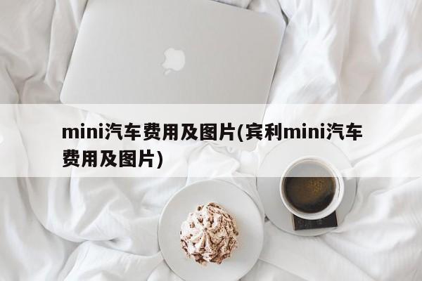 mini汽车费用及图片(宾利mini汽车费用及图片)