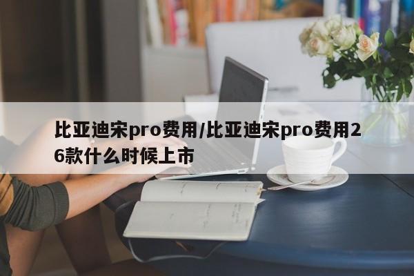 比亚迪宋pro费用/比亚迪宋pro费用26款什么时候上市