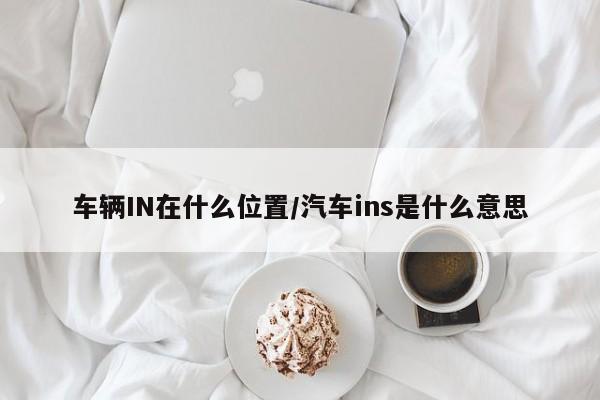 车辆IN在什么位置/汽车ins是什么意思