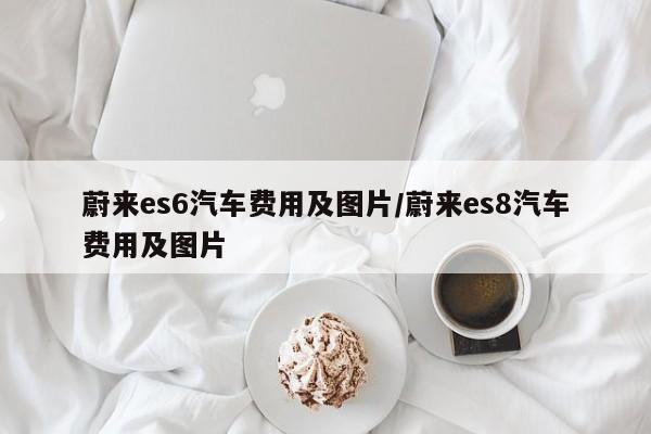 蔚来es6汽车费用及图片/蔚来es8汽车费用及图片