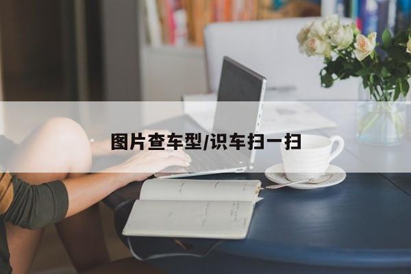 图片查车型/识车扫一扫