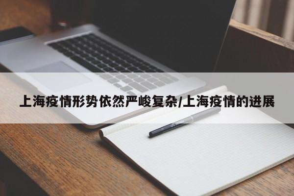 上海疫情形势依然严峻复杂/上海疫情的进展