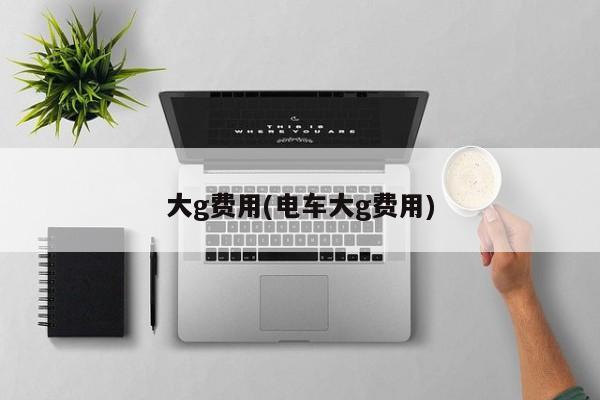 大g费用(电车大g费用)