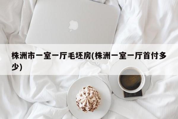 株洲市一室一厅毛坯房(株洲一室一厅首付多少)