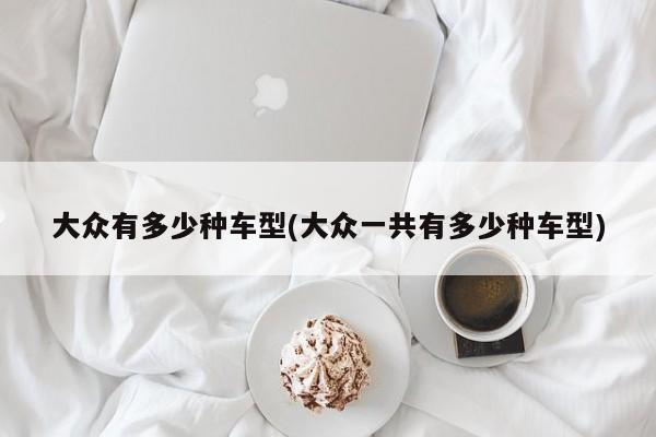 大众有多少种车型(大众一共有多少种车型)