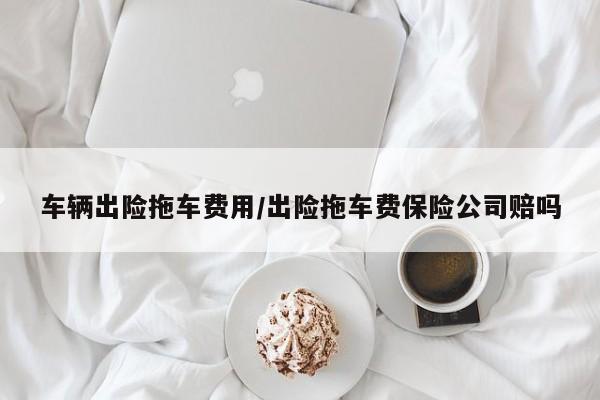 车辆出险拖车费用/出险拖车费保险公司赔吗