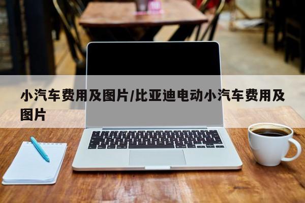 小汽车费用及图片/比亚迪电动小汽车费用及图片