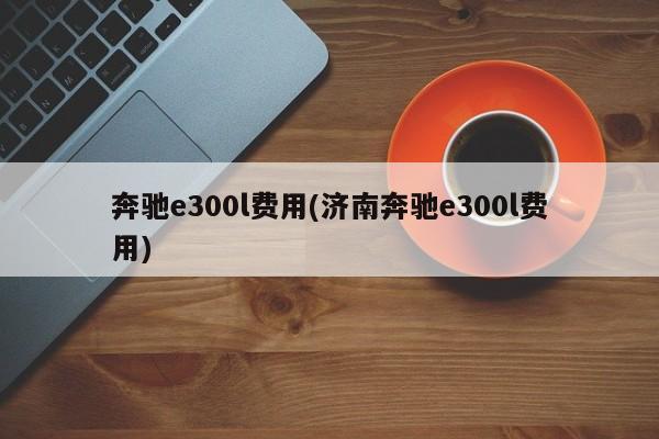 奔驰e300l费用(济南奔驰e300l费用)