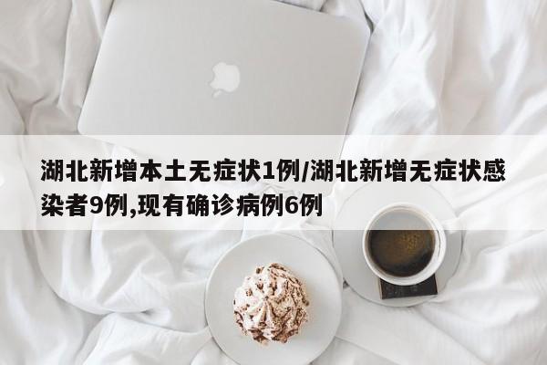 湖北新增本土无症状1例/湖北新增无症状感染者9例,现有确诊病例6例