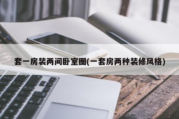 套一房装两间卧室图(一套房两种装修风格)