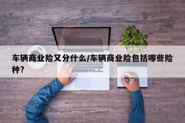 车辆商业险又分什么/车辆商业险包括哪些险种?