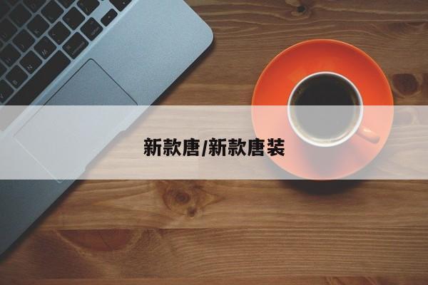 新款唐/新款唐装