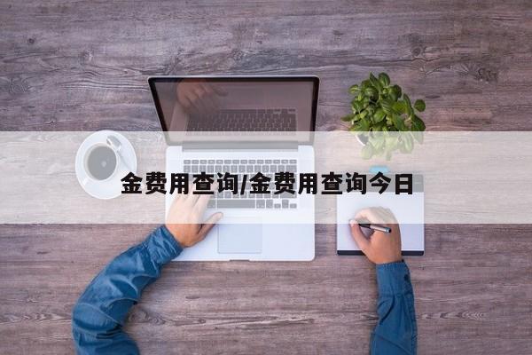 金费用查询/金费用查询今日