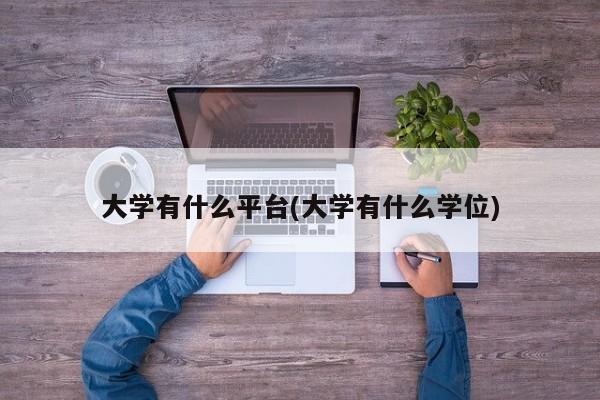 大学有什么平台(大学有什么学位)