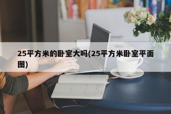 25平方米的卧室大吗(25平方米卧室平面图)
