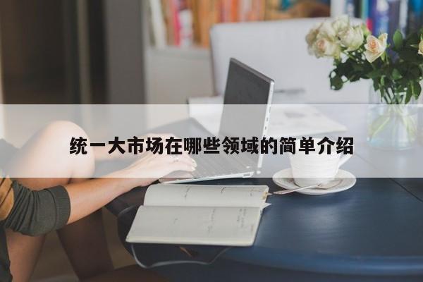 统一大市场在哪些领域的简单介绍