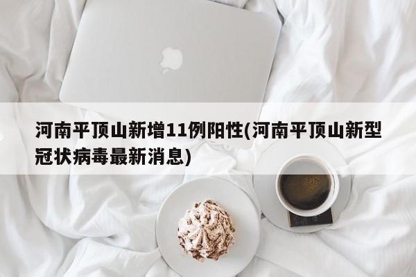 河南平顶山新增11例阳性(河南平顶山新型冠状病毒最新消息)
