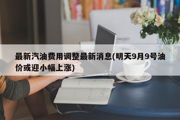 最新汽油费用调整最新消息(明天9月9号油价或迎小幅上涨)