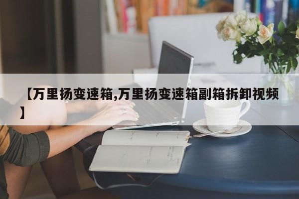 【万里扬变速箱,万里扬变速箱副箱拆卸视频】